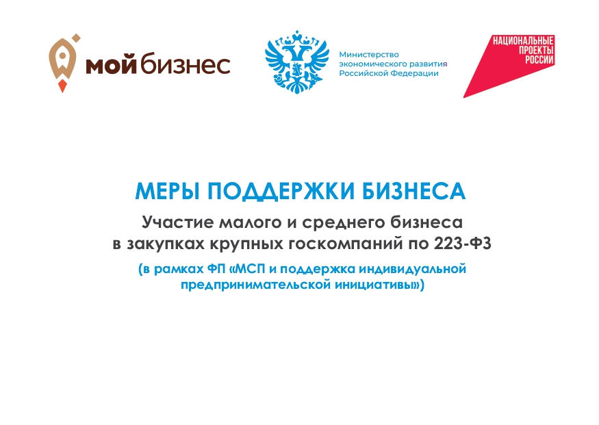 Меры поддержки бизнеса. Участие малого и среднего бизнеса в закупках крупных госкомпаний по 223-ФЗ (в рамках ФП &quot;МСП и поддержка индивидуально предпринимательской инициативы&quot;).